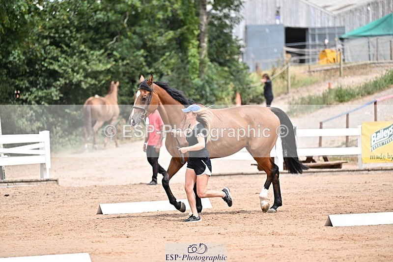 250716-132551-00510 - Trot Up 12.30 to 1.30