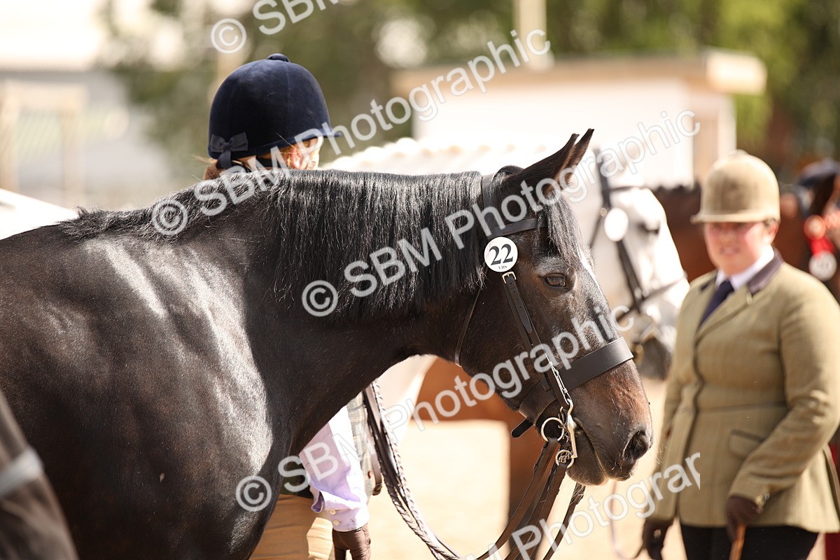 SBM_04638 - Class 20 IH Veteran