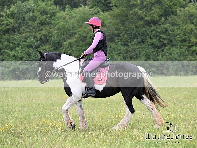 WJ7_8370 - Kellie Jade Ellie XC training with Kelly Harris 28-06-26