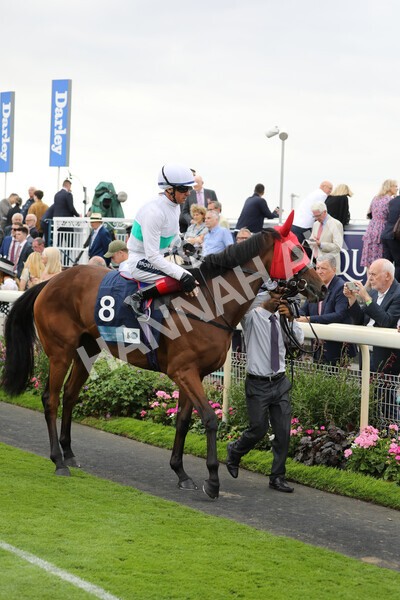 yr18082022r5-6 - Race 5 4.10pm British EBF & Sir Henry Cecil Galtres Stakes
