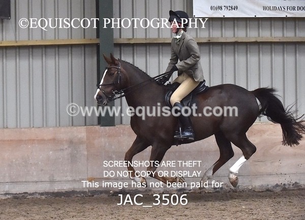 JAC_3506 - CLASS 9 BHS Scotland Riding Club Working Hunter Qualifier