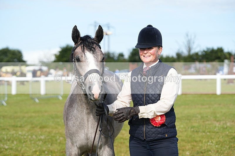 DSC04861 - Class 47: NPS M&M Yearling