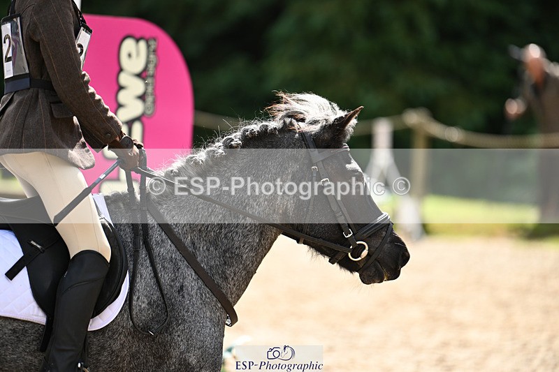 240824X-120012-25482 - 70cm Round 2 10.30 to 12.10