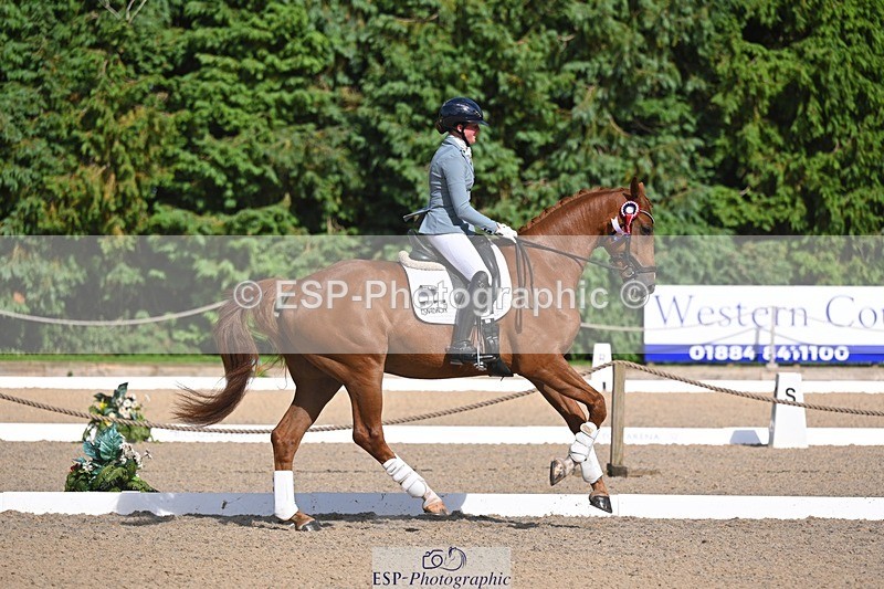 240809-163650-02443 - Novice Gold