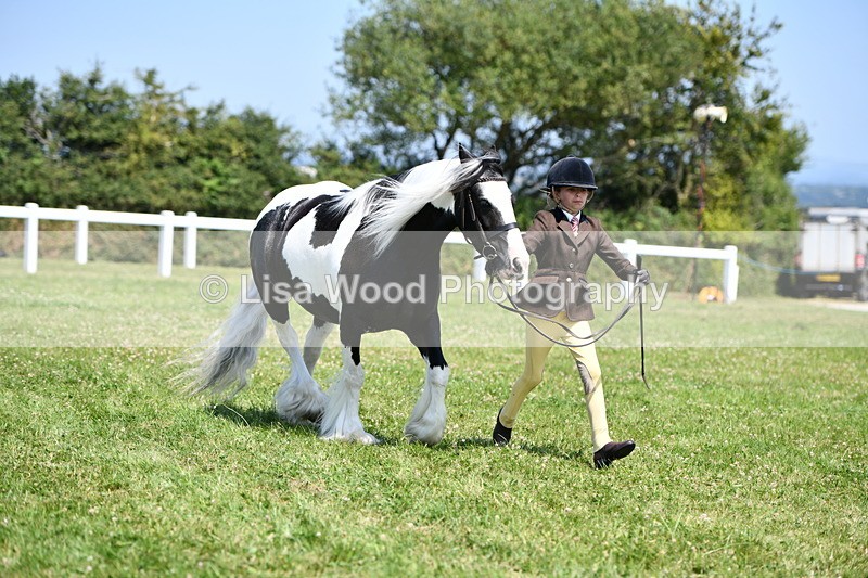 DSC_7686 - Class 64: Coloured Pony 4yrs & over