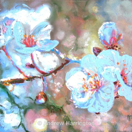 first blossom - Paintings 7