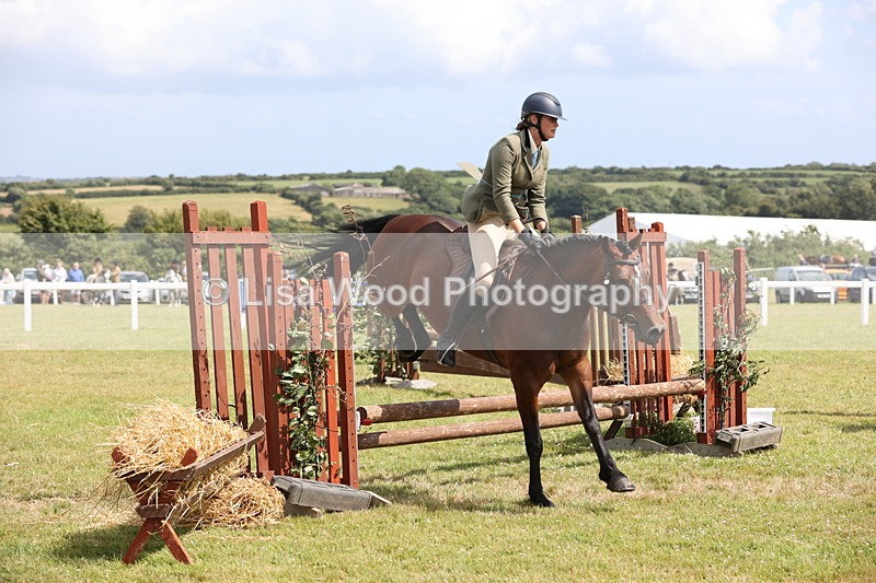 JPP_2055 - Class 19: Working Hunter 60cm