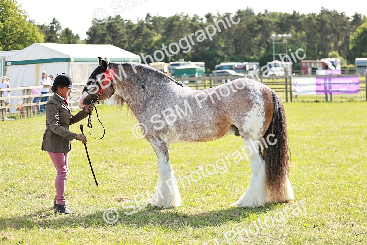 SBM_08882