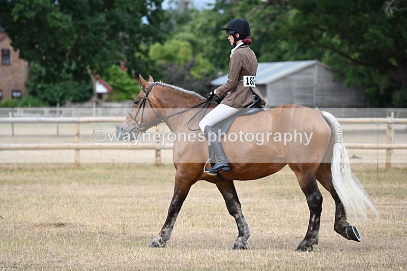 WJ6_7360 - Class 9 Tack and Turnout
