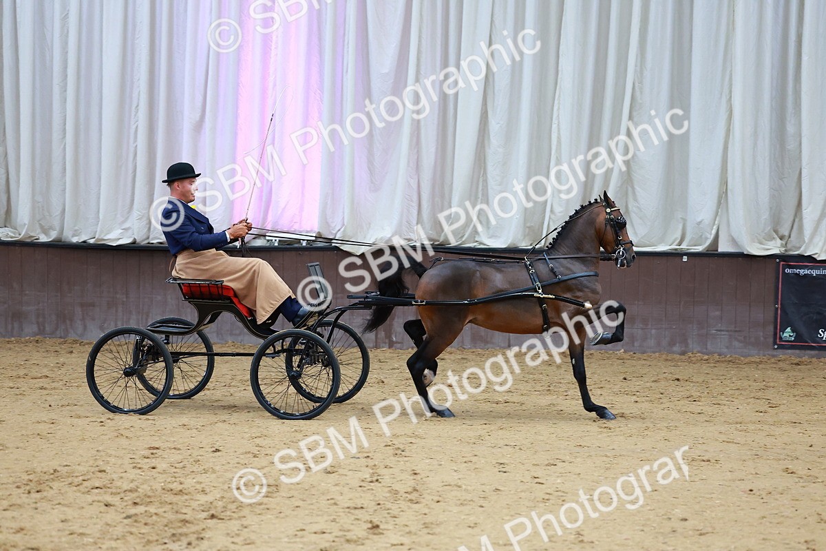 SBM_000672 - Class 9 - HHS Championship Intl Hackney Pony to a Showwagon
