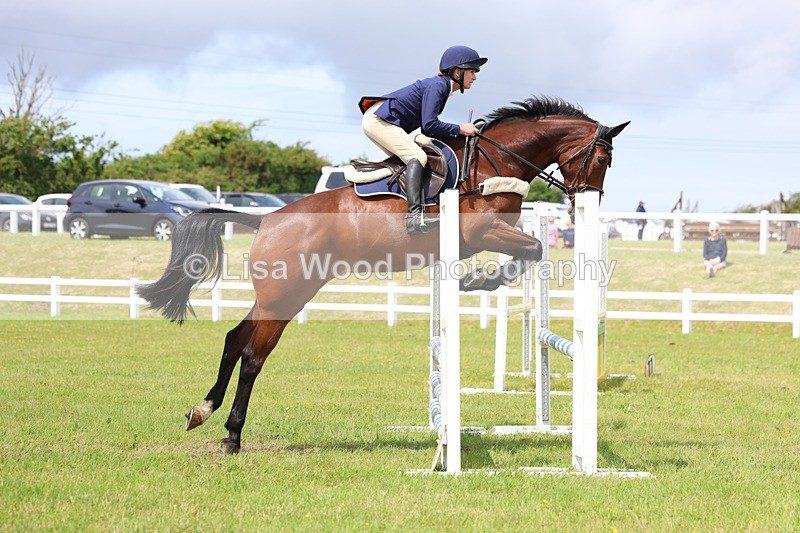 3E7A7386 - Class 13: Senior British Novice/90cm open