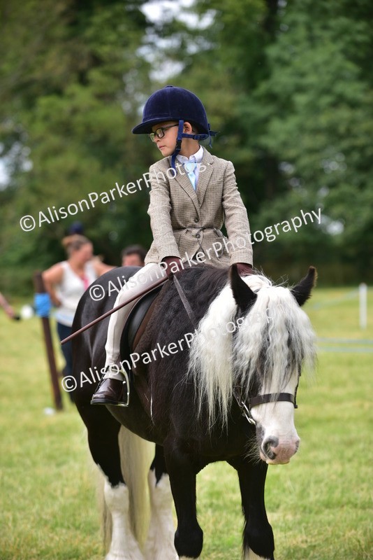 20260614-4223 - Class 17 - Best Mane and Tail