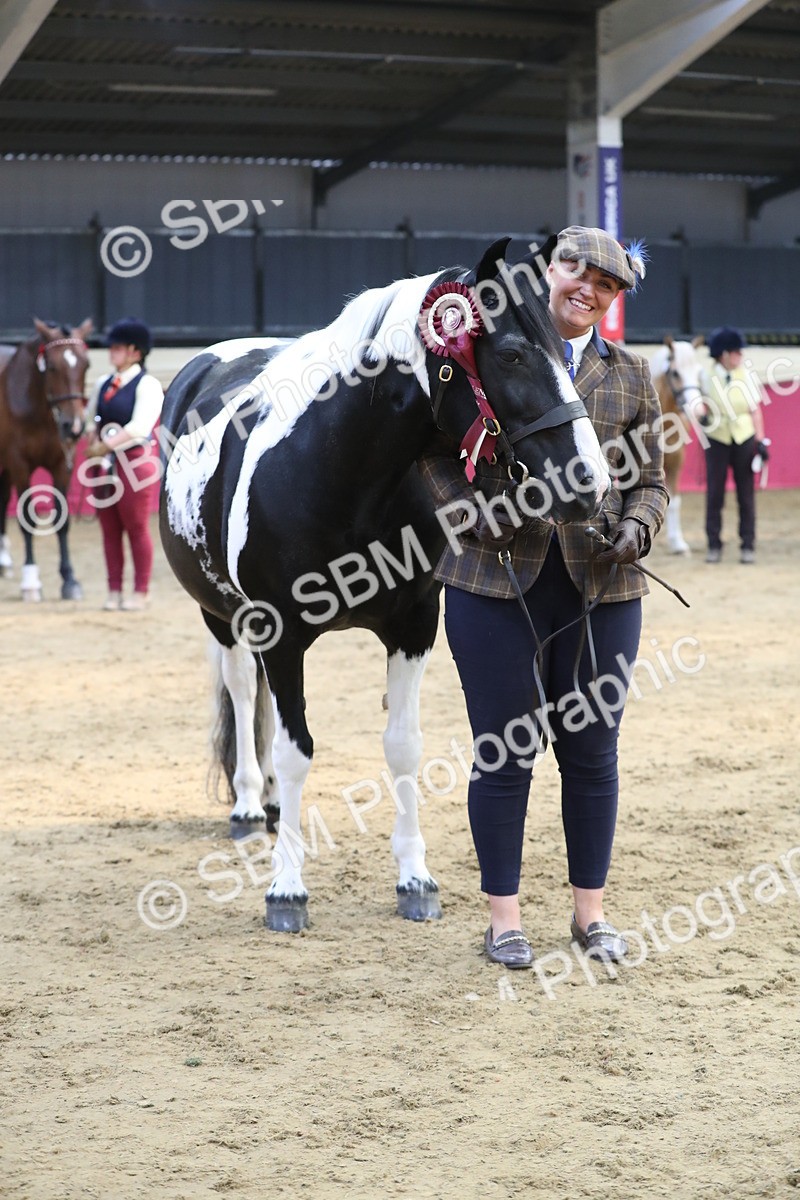 SBM_06475 - Class 9R Regional- IH Pre Vet