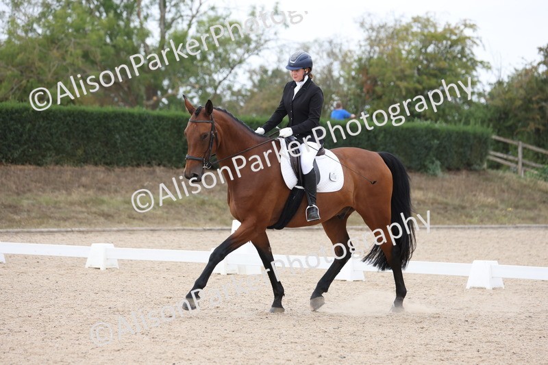 20250819-1270 - Class 4 - Novice 2