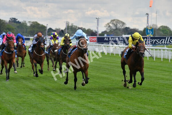 yr12052021r3-16 - Race 3 2.40pm Duke of York Clipper Logistics Stakes