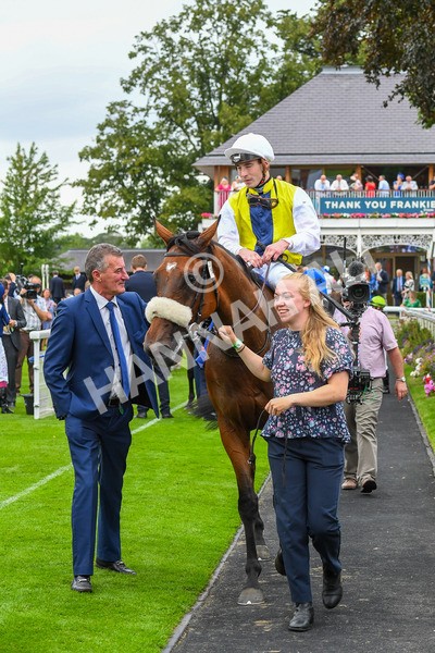 230823-Race 5-Forza Orta-0733 - Race 5 4.10pm Sky Bet Stayers Handicap