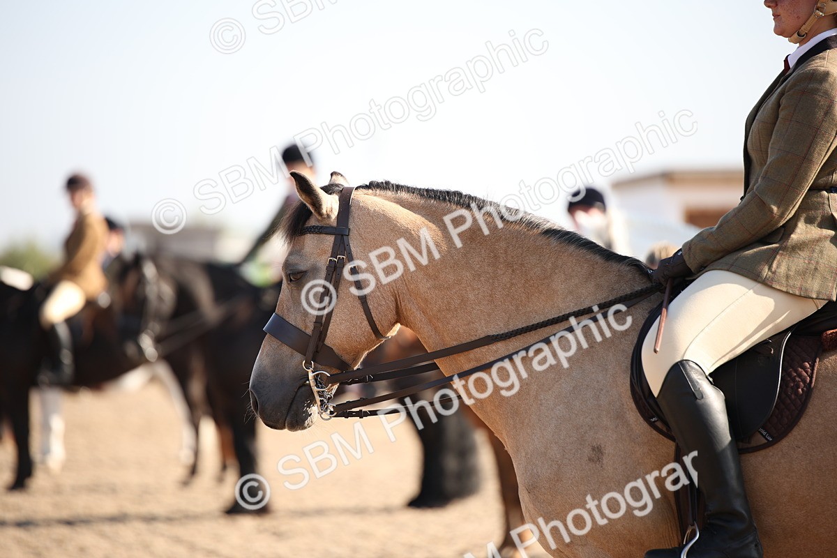 SBM_00704 - Class 14 Ridden M&M Wildcard