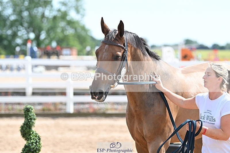 240717A-150454-02521 - Trot Up 3pm to 4pm