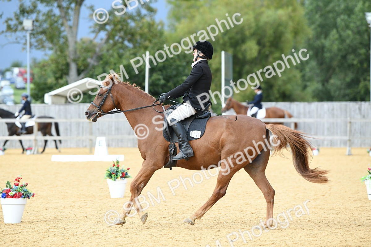 SBM_10981 - D28 Elementary Taster Elementary 42