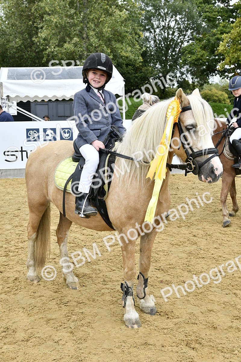 SBM_66247 - J2a mini Tour Junior Pony 30cm Championship