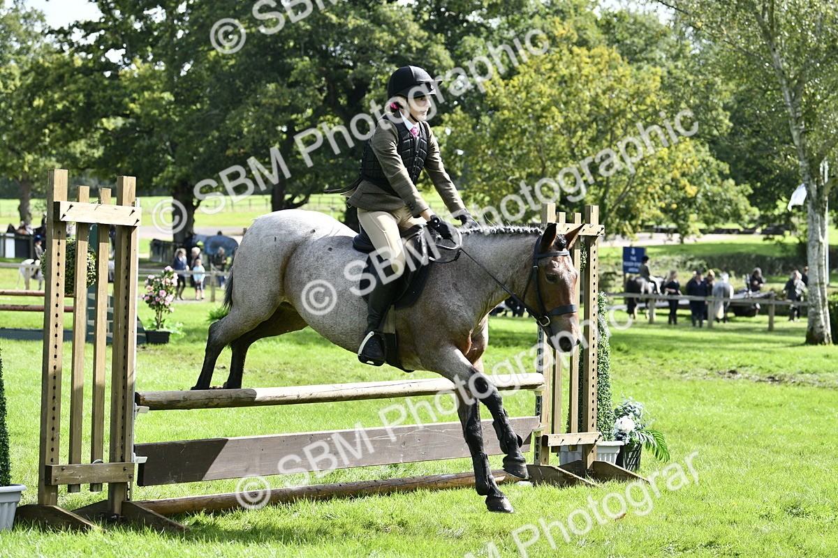 SBM_45670 - S33 - Working Hunter Pony