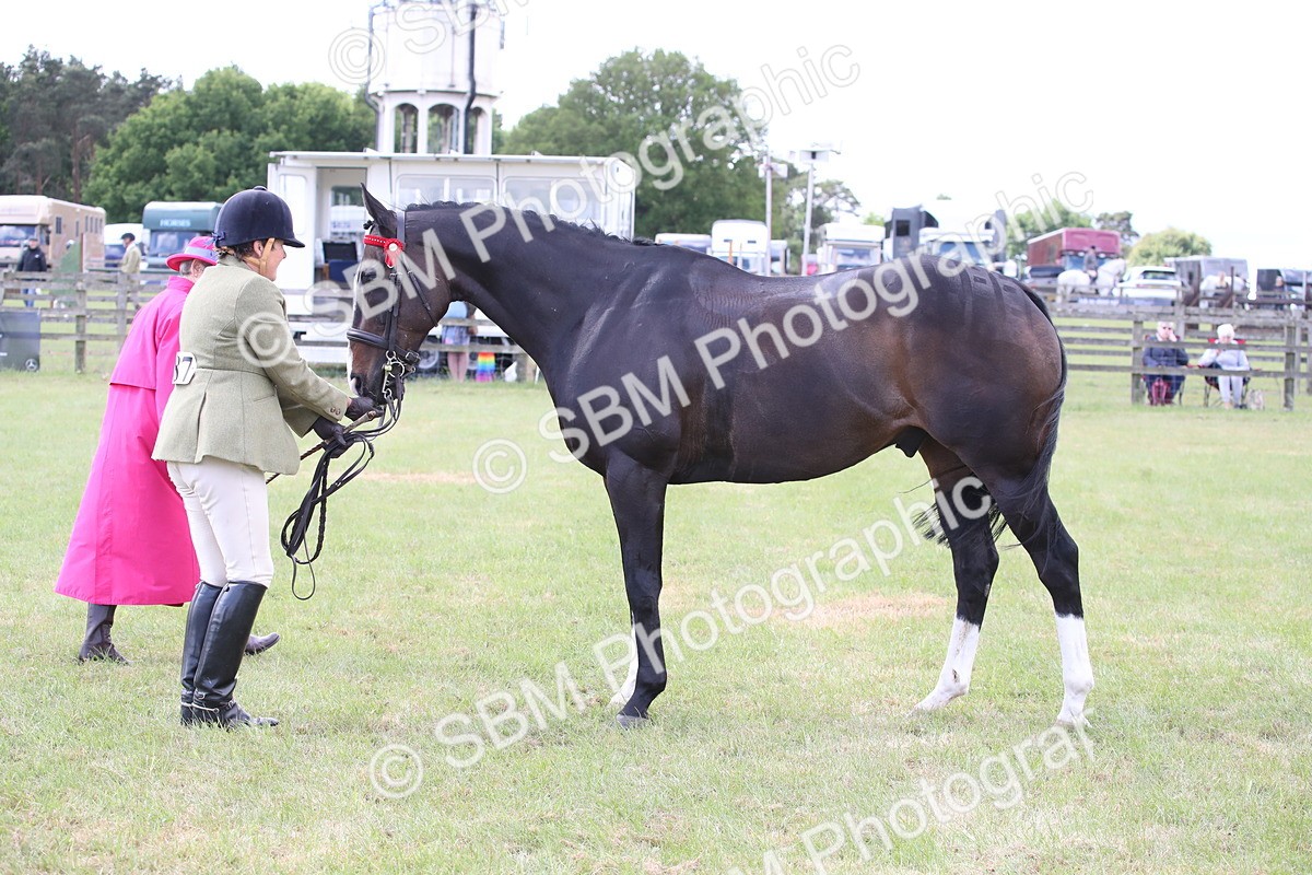 SBM_14227 - Class 113-114 - Retraining of Racehorses Ridden