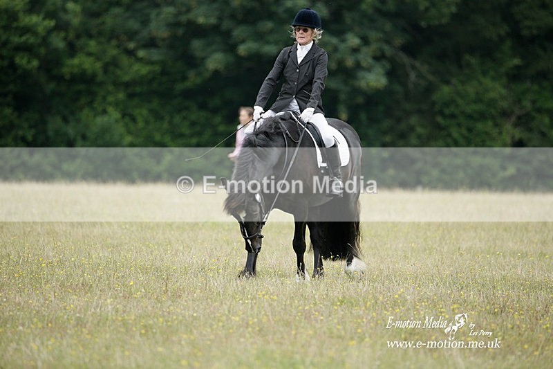 BVRC 030721 51 - Bourne Valley Riding Club Dressage 03/07/21