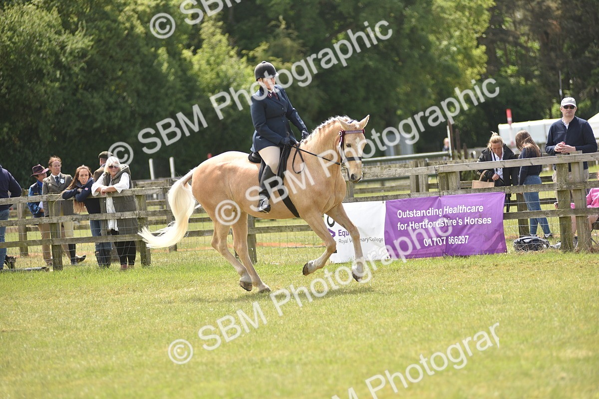 SBM_15843 - Class 115-116 - SSADL Home Produced Members Qualifier