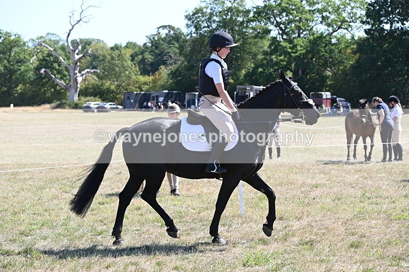 WJ6_8322 - Class 37a Best Loan Pony Ridden