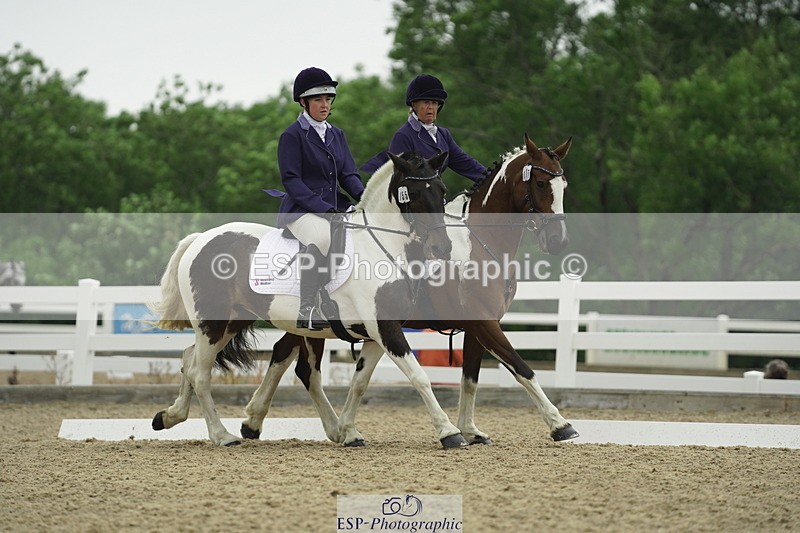 230708A-122516-00391 - BRC Pairs 5