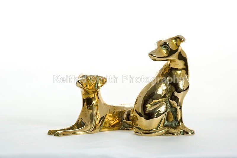 YR6M4017 - Studio Still Life