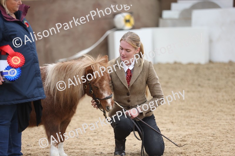 20251109-0381 - Class 14 - Geldings 4 Years and Over