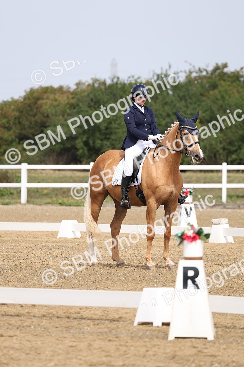 SBM_006118 - Class 6 - novice 6 - 11.50-12.46