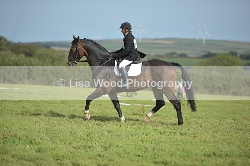RAY_7945 - Class 2B: Trekenning Open: Dressage