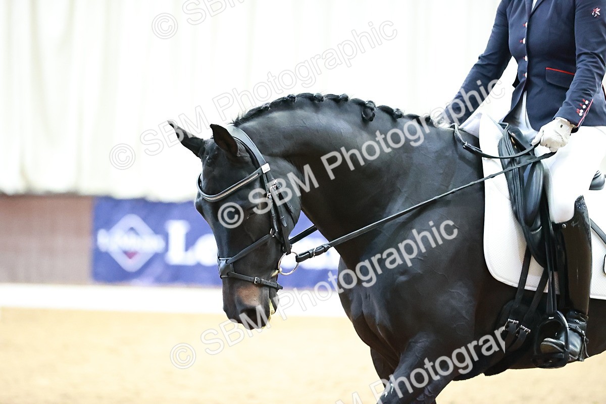 SBM_000410 - Ele 4