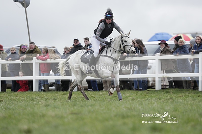 PtP 260323 0236 - New Forest Hounds Point-to-Point Larkhill 26/03/23