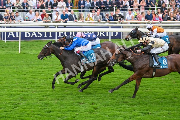 080925-Race 5-Elmonjed-7715 - Race 5 4.30pm Sky Bet Starman Garrowby Stakes