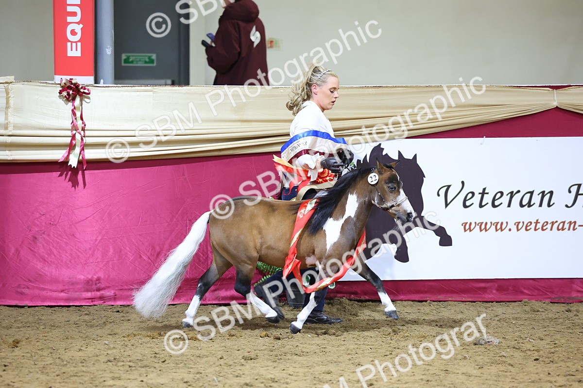 SBM_18741 - Class D IH Pony Champ