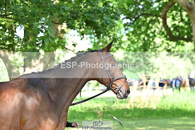 250521A-160536-00911 - C-271-Kirsty.Chabert-OPPOSITION.HELIOS