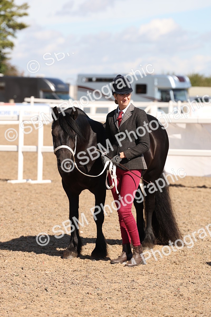 SBM_13927 - Class 205 - IH Show Pony - Show Hunter Pony