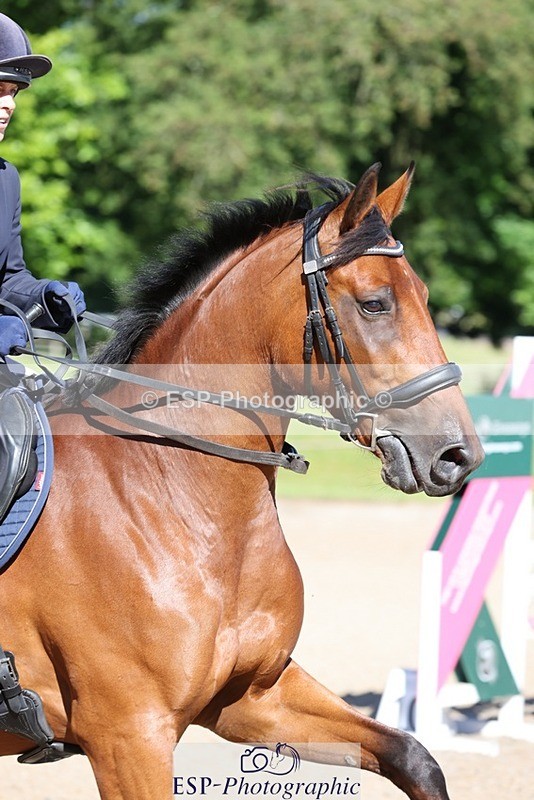 240615-090036-00016 - Cls 1 Snr British Novice and 90cm Open