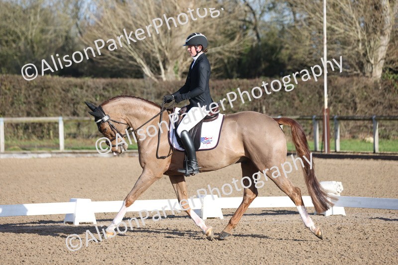 20260128-0173 - Class 3 - Novice 4