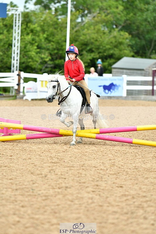 230804A-113629-02304 - Showjumping Competition