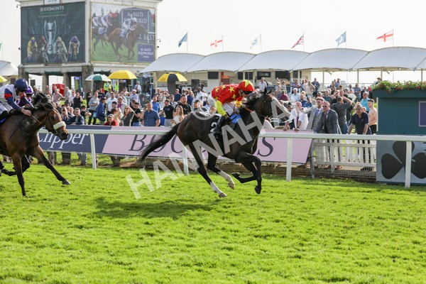 170524-Race 7-Jubilee Walk-2333 - Race 7 5.20pm Irish Thoroughbred Marketing Handicap