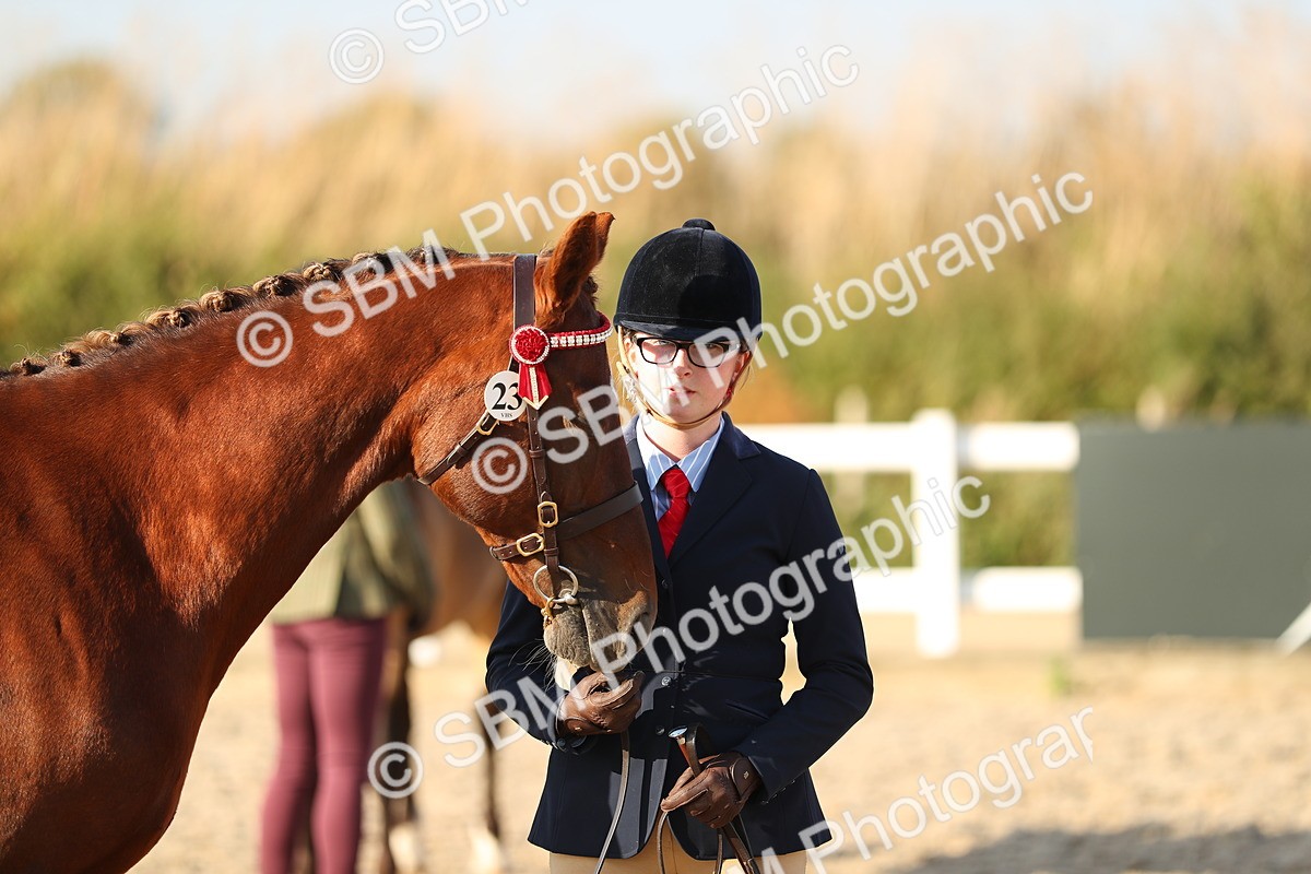 SBM_08972 - Class 29 IH Veteran Pony