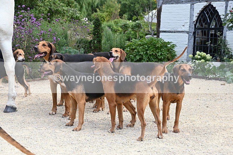 WJ6_3834 - Berks & Bucks - The Old farmhouse - Hound Exercise 20-08-25