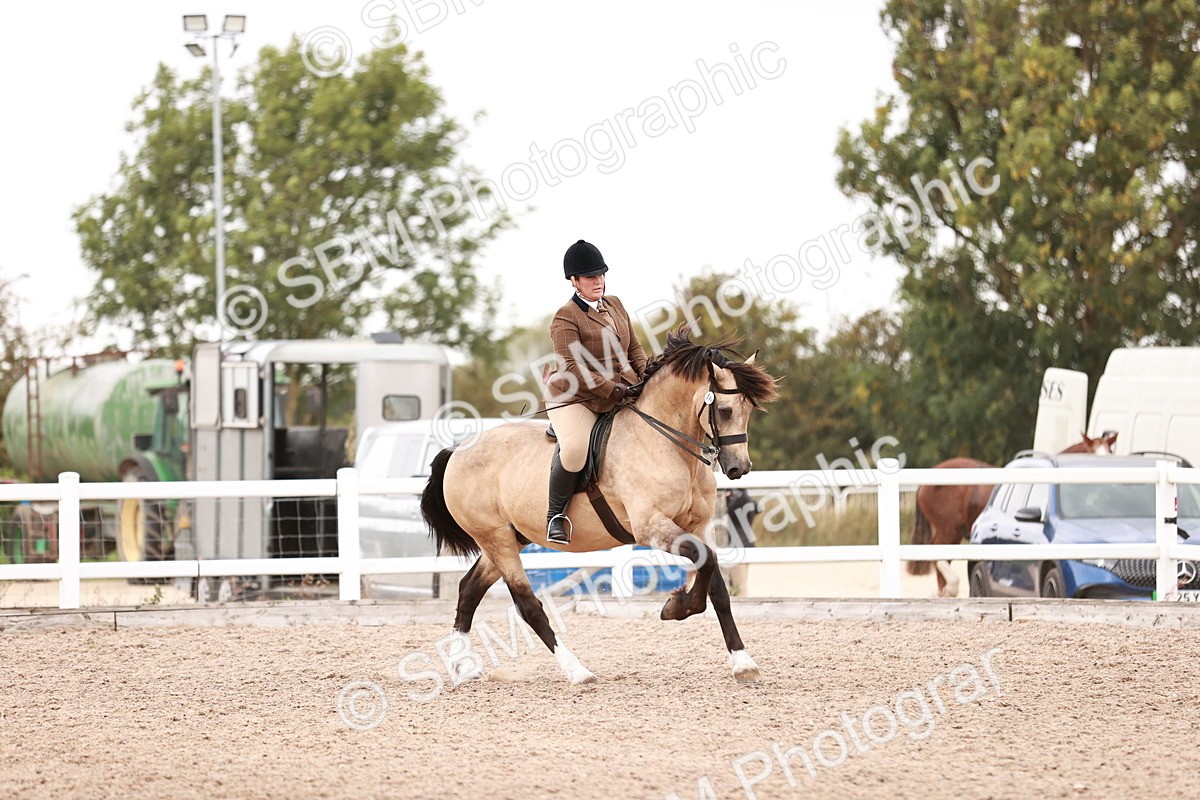 SBM_19077 - Class 422 - Ridden M&M