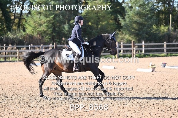 BPP_8568 - LONG ARENA