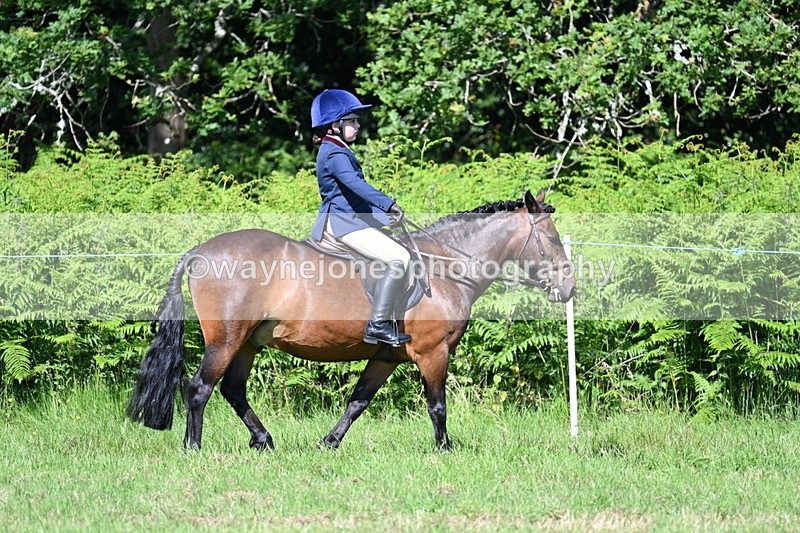 WJ7_0644 - Class 8 First Rally Pony