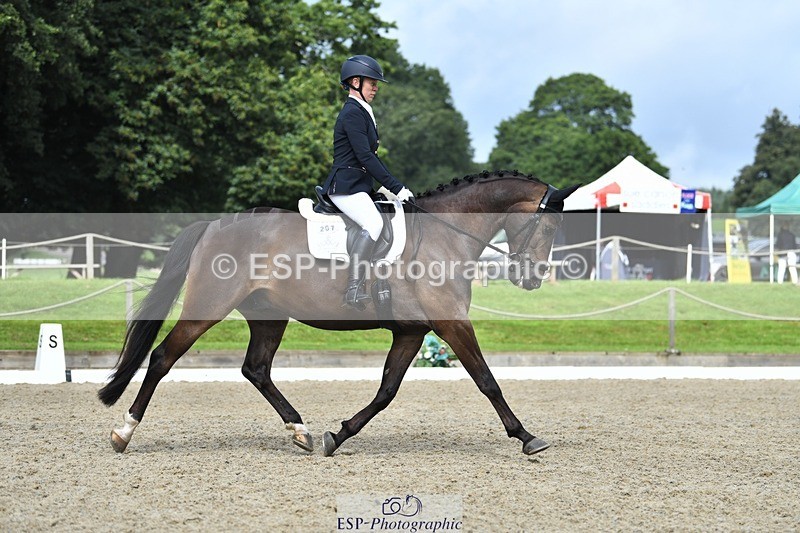 230812-104444-03460 - Cls 6 Novice Silver 10.30 to 11.55 break